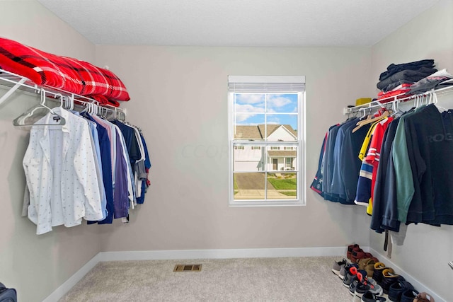 spacious closet featuring carpet flooring