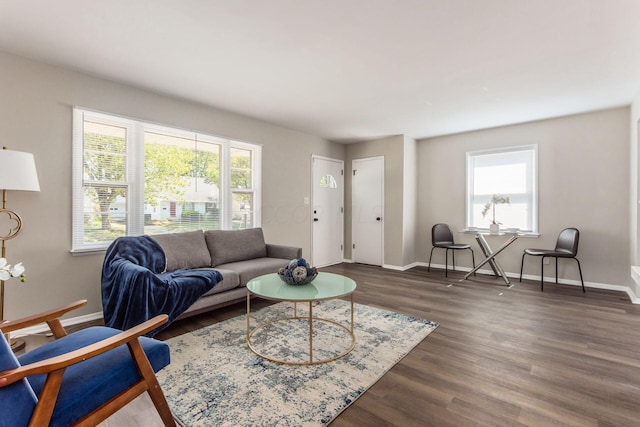 living room with dark wood-type flooring