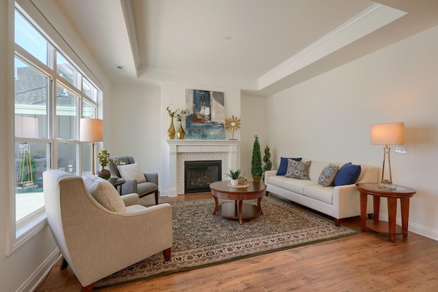 living room featuring hardwood / wood-style floors, ornamental molding, a fireplace, and a tray ceiling