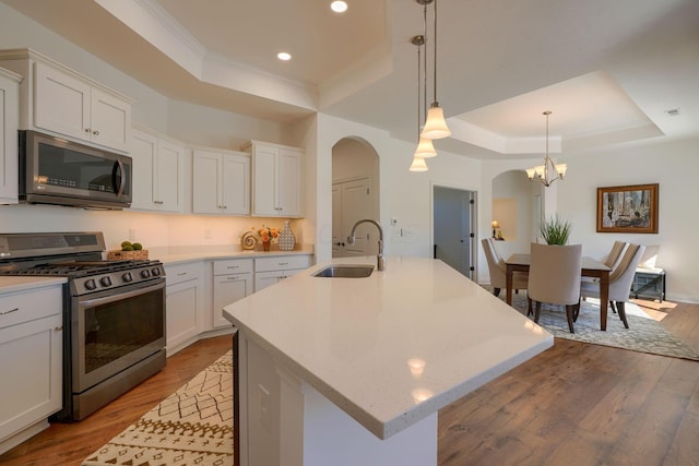 kitchen featuring white cabinetry, sink, stainless steel appliances, an island with sink, and a tray ceiling