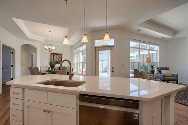 kitchen featuring a tray ceiling, stainless steel dishwasher, plenty of natural light, and sink