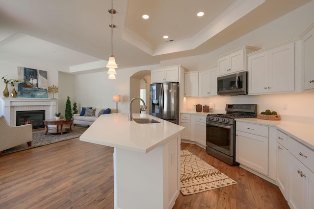 kitchen featuring light wood-type flooring, sink, appliances with stainless steel finishes, and a tray ceiling