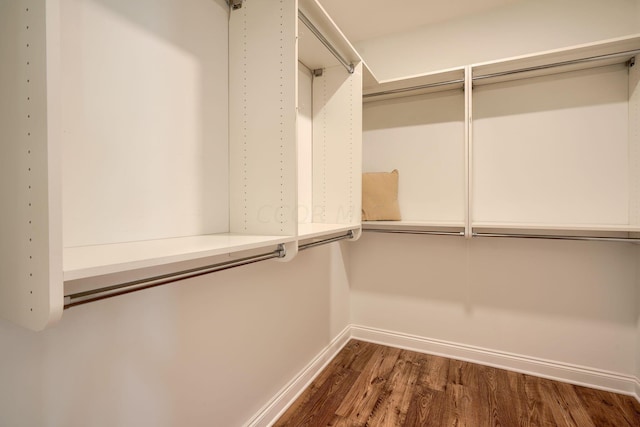 walk in closet with dark wood-type flooring