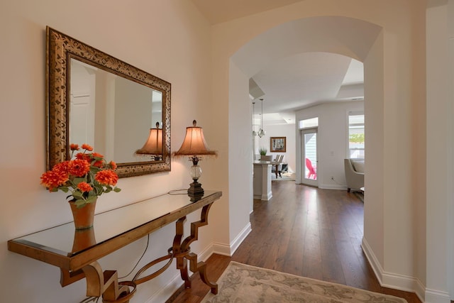 hall featuring dark wood-type flooring