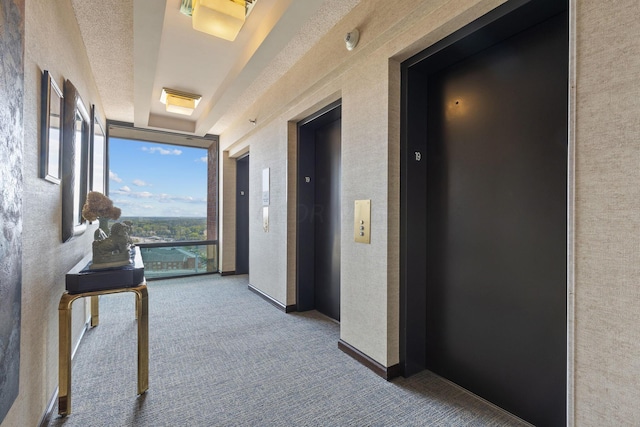 hall featuring floor to ceiling windows, elevator, and carpet flooring