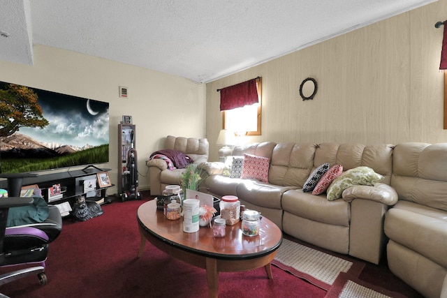 carpeted living room with a textured ceiling