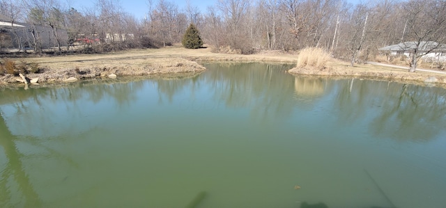 view of water feature