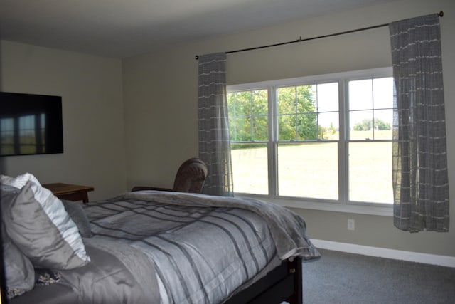 bedroom featuring carpet floors and multiple windows