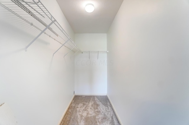 spacious closet featuring light colored carpet