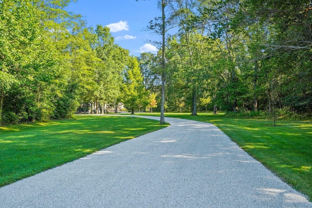 view of property's community with a yard