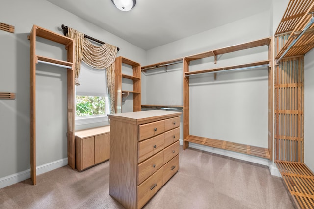 spacious closet featuring light colored carpet