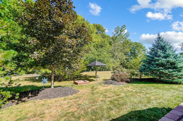 view of yard with an outdoor fire pit