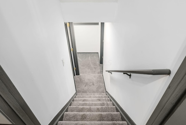 staircase featuring carpet flooring