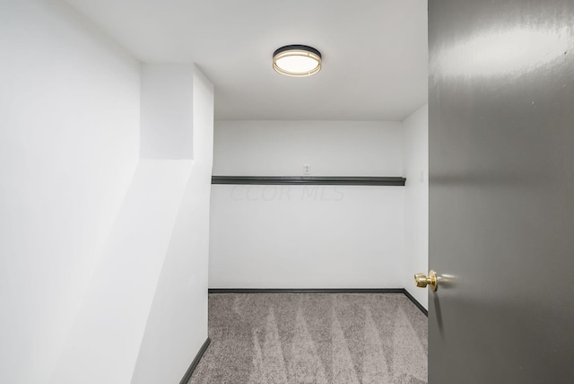 walk in closet with light carpet