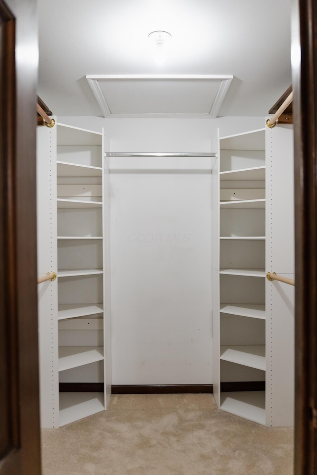 walk in closet with light carpet