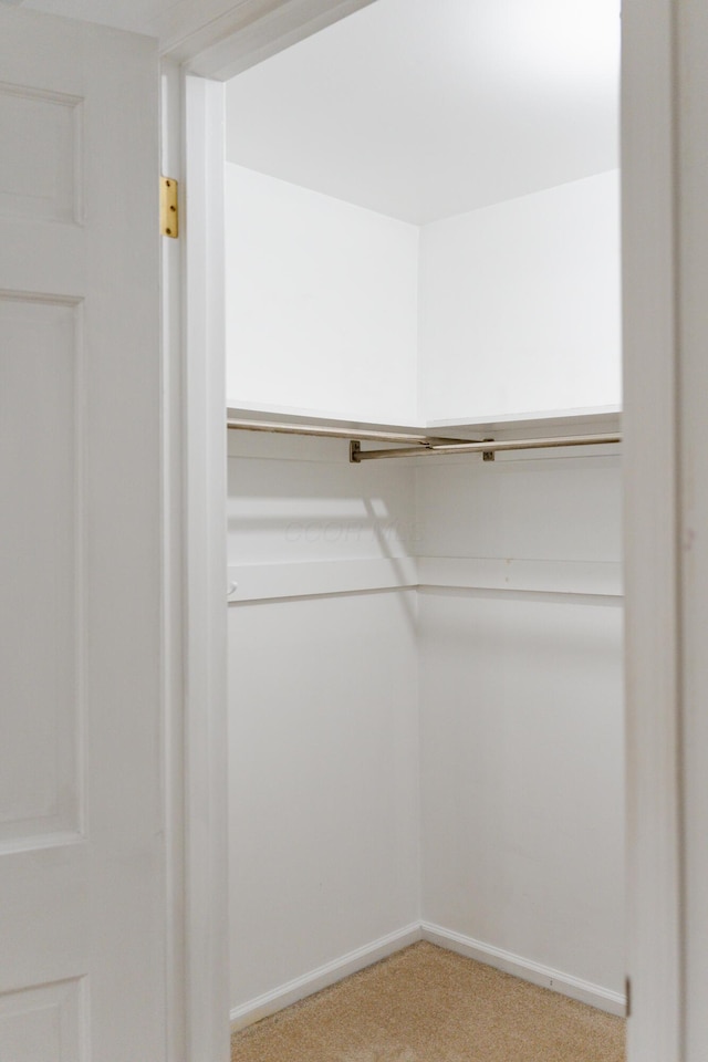 walk in closet featuring light colored carpet