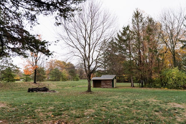 view of yard featuring a storage shed