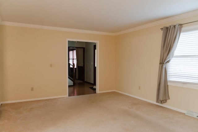 spare room with ornamental molding and carpet