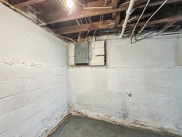 basement with electric panel