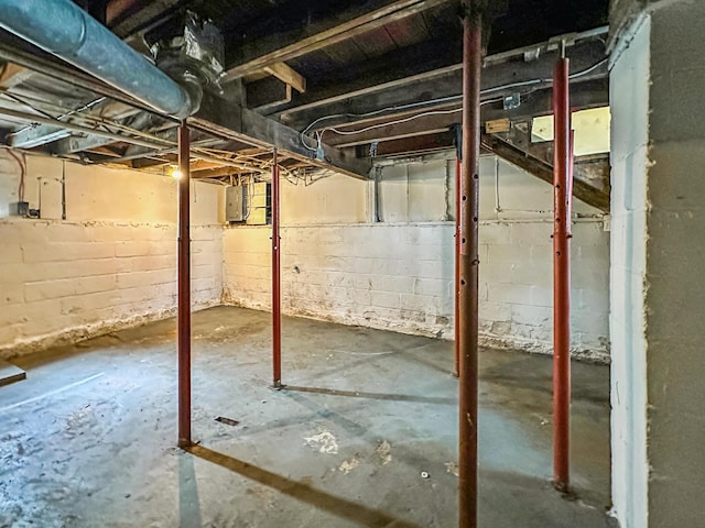 basement with electric panel