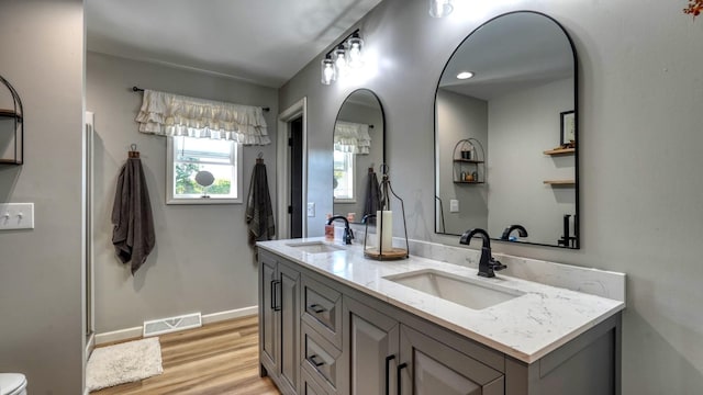 bathroom with hardwood / wood-style flooring and vanity