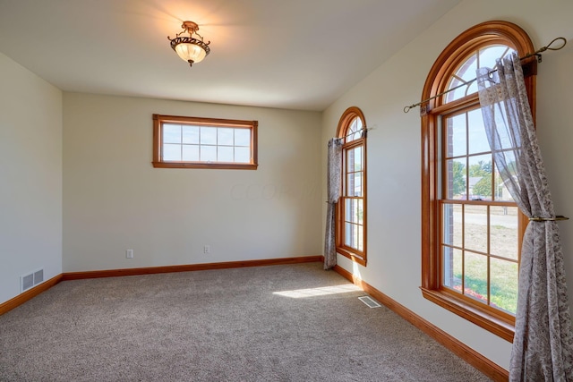 carpeted spare room with a healthy amount of sunlight and lofted ceiling