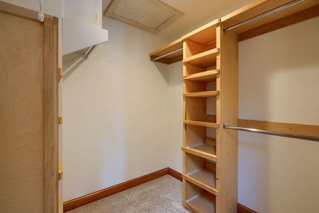 spacious closet with carpet flooring