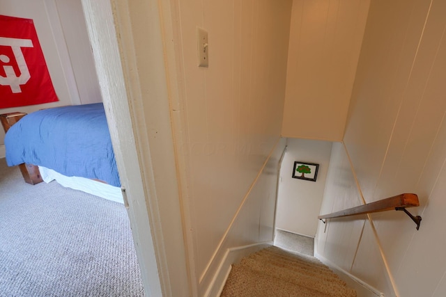 staircase featuring carpet floors