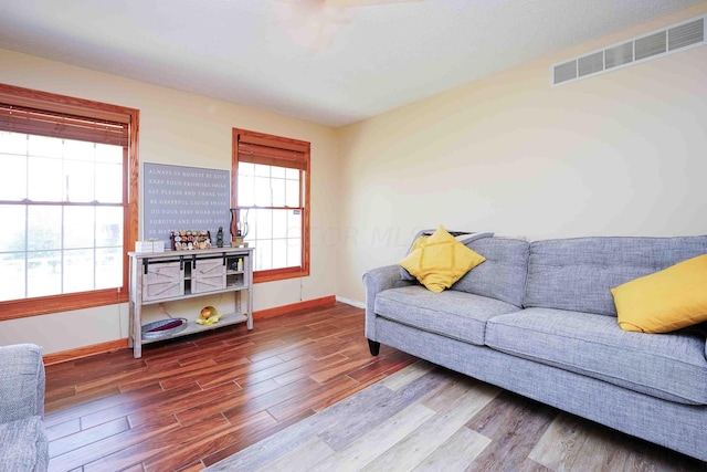 living room featuring wood-type flooring and a wealth of natural light