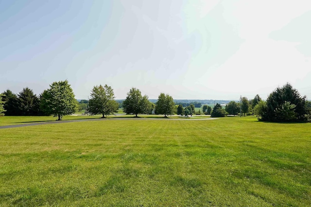 view of property's community with a lawn