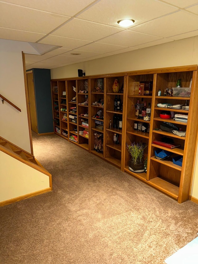 wine cellar with carpet and a drop ceiling