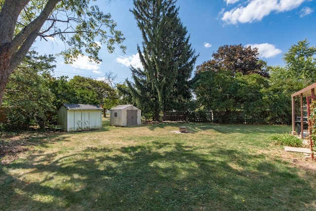 view of yard with a storage unit