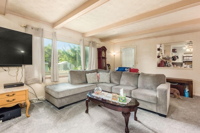 living room featuring carpet, a textured ceiling, and beamed ceiling