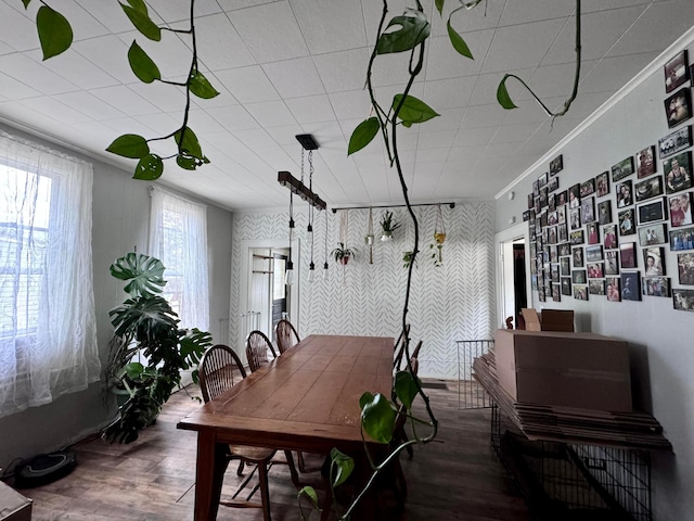 dining area featuring dark hardwood / wood-style floors and ornamental molding