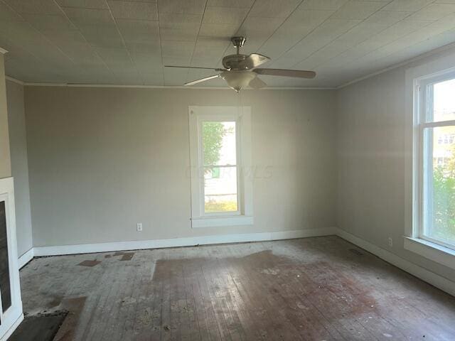 unfurnished room featuring hardwood / wood-style floors and a wealth of natural light