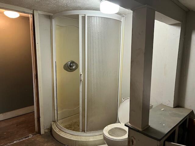 bathroom featuring vanity, toilet, a shower with door, and a textured ceiling