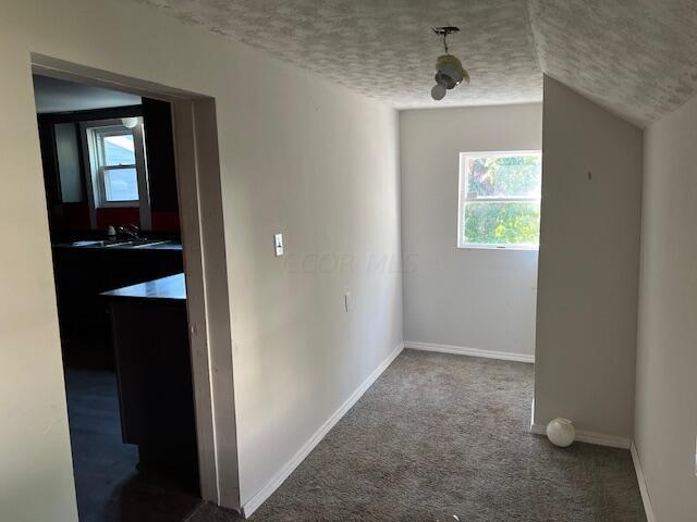 corridor featuring lofted ceiling, sink, carpet floors, and a textured ceiling