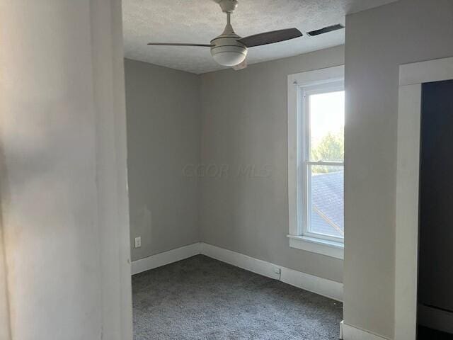 spare room featuring carpet, a wealth of natural light, ceiling fan, and a textured ceiling