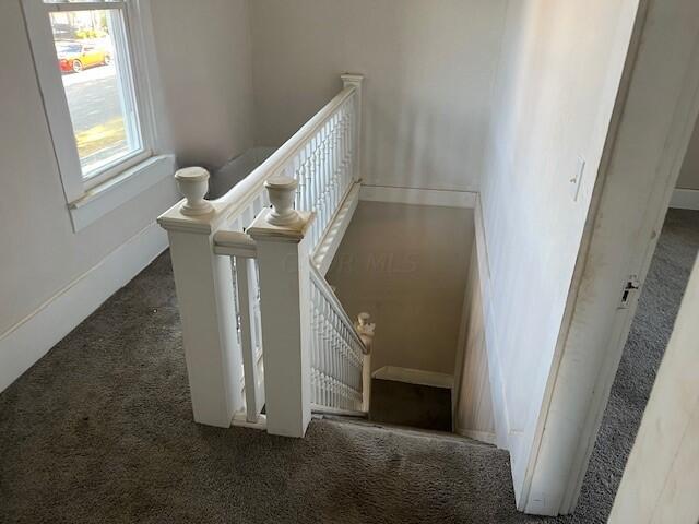 stairs with carpet floors