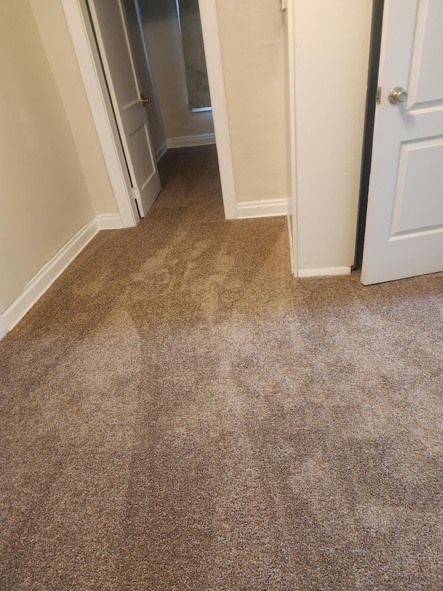 interior space featuring carpet flooring