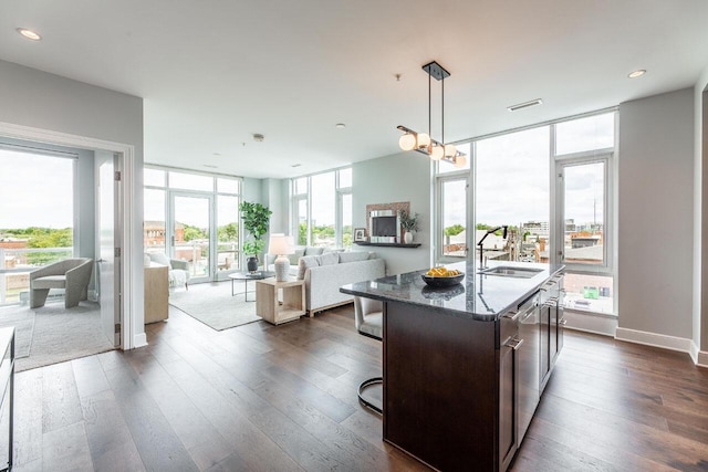 kitchen featuring sink, an island with sink, and a healthy amount of sunlight