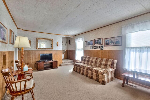702 Coshocton Ave, Mount Vernon, OH 43050 - living room with ornamental molding, wainscoting, wooden walls, and carpet flooring