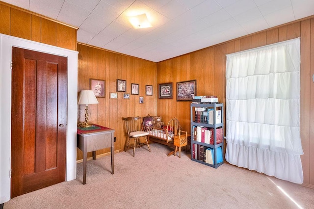 702 Coshocton Ave, Mount Vernon, OH 43050 - living area featuring carpet and wood walls