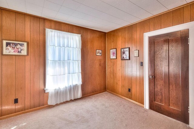 702 Coshocton Ave, Mount Vernon, OH 43050 - unfurnished room featuring carpet flooring and wooden walls