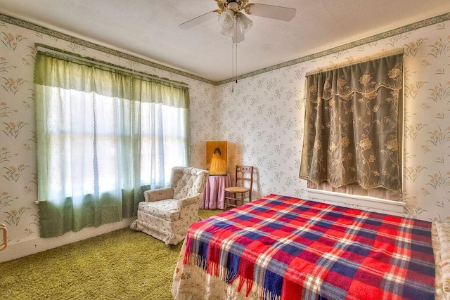 702 Coshocton Ave, Mount Vernon, OH 43050 - bedroom featuring carpet and a ceiling fan