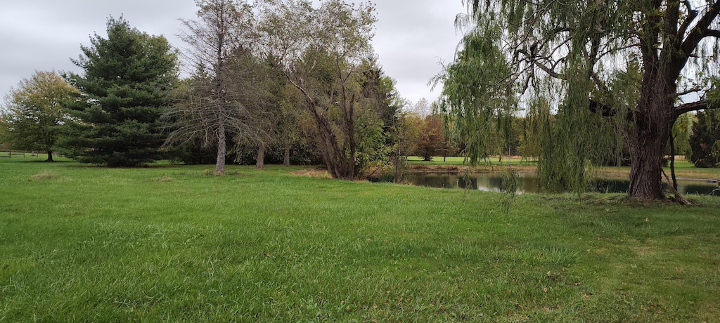 view of yard with a water view