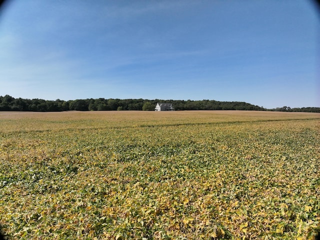 view of landscape featuring a rural view