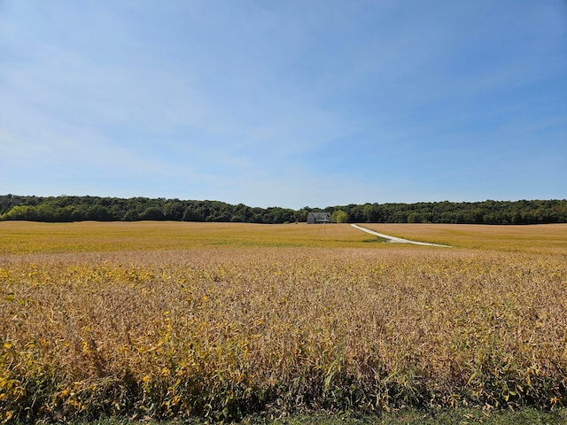 view of local wilderness featuring a rural view