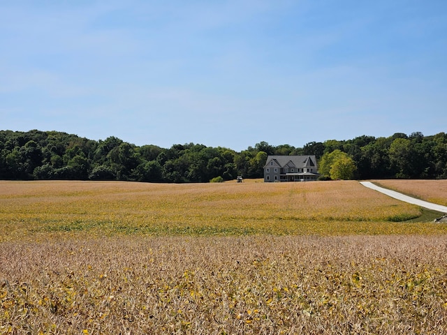 view of yard featuring a rural view