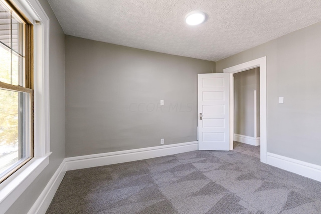 empty room featuring carpet and a textured ceiling